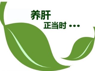 台美德